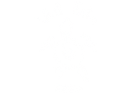 logo normal size canva